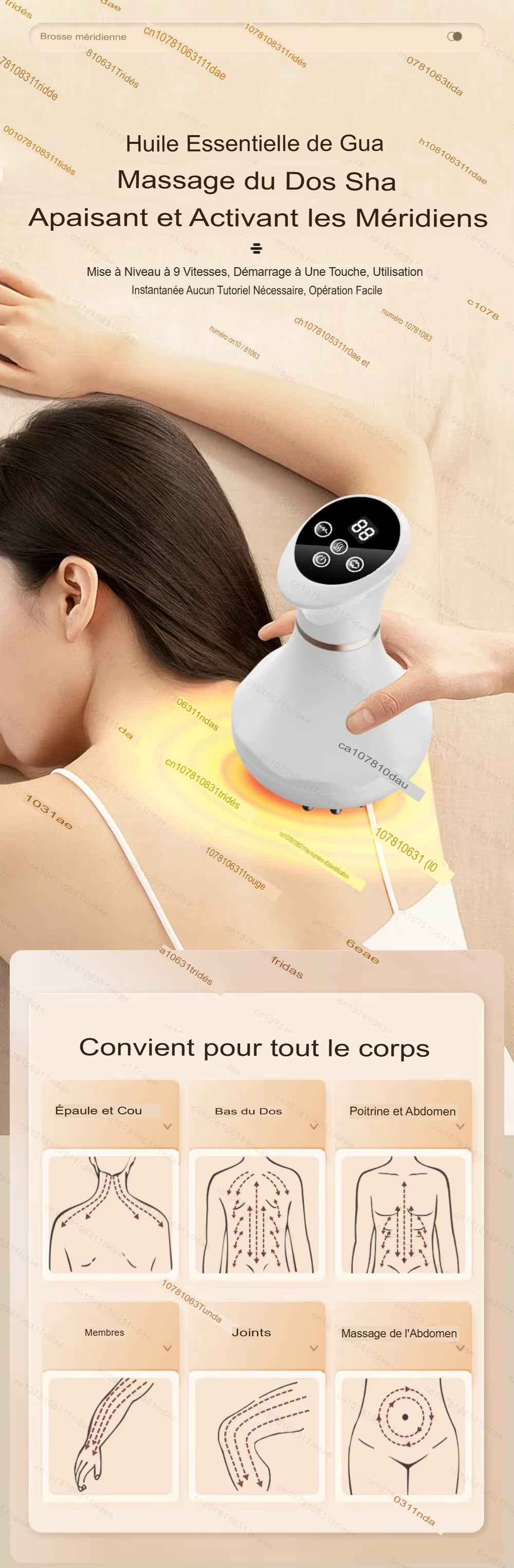 Appareil de massage dos
