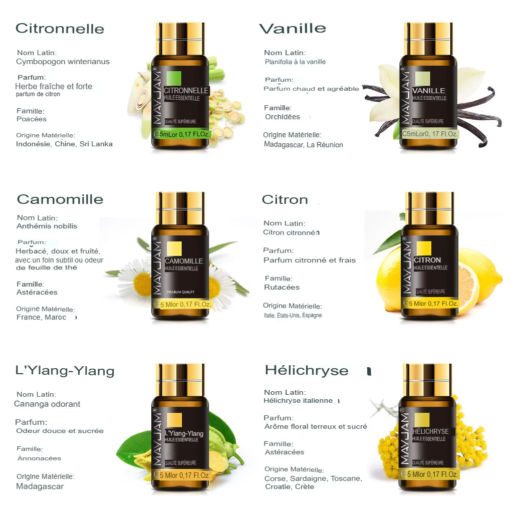 Coffret Cadeau Élite 35 Huiles Essentielles collection Complète