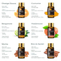 Coffret Cadeau Élite 35 Huiles Essentielles